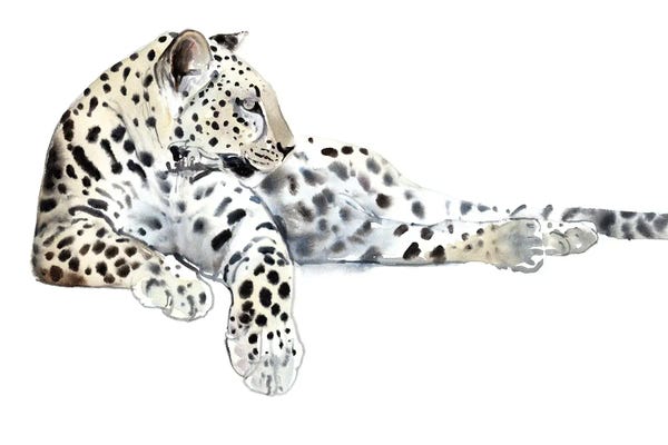 Long (Arabian Leopard), 2015