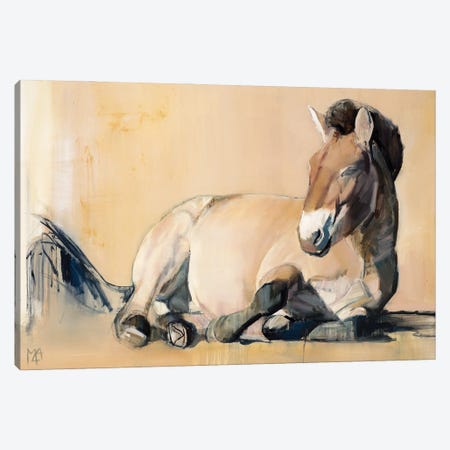 Plateau Sun (Przewalski's Horse), 2014 Canvas Print #MAD85} by Mark Adlington Canvas Artwork