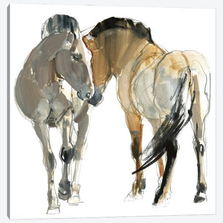 Rencontre (Przewalski's Horse), 2013 Canvas Print #MAD86} by Mark Adlington Canvas Wall Art
