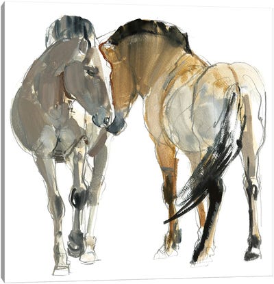 Rencontre (Przewalski's Horse), 2013 Canvas Art Print - Mark Adlington