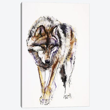 European Wolf Canvas Print #MAD8} by Mark Adlington Canvas Art Print