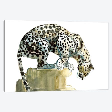 Spine (Arabian Leopard), 2015 Canvas Print #MAD91} by Mark Adlington Canvas Wall Art
