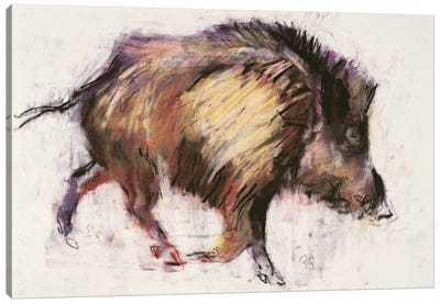 Wild Boar Trotting, 1999 Canvas Art Print - Pig Art