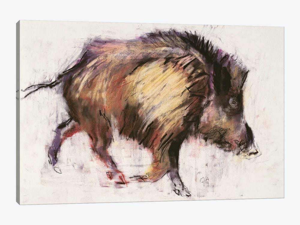 Wild Boar Trotting, 1999 by Mark Adlington 1-piece Canvas Art Print
