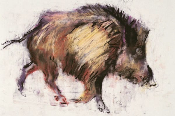 Mark Adlington: Wild Boar Trotting, 1999 by Mark Adlington
