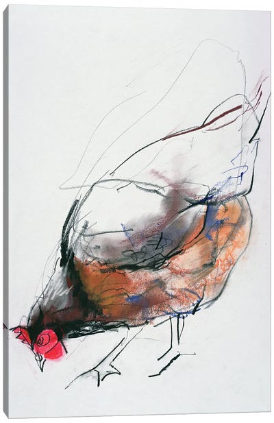 Feeding Hen, Trasierra, 1998 Canvas Art Print - Mark Adlington