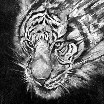 Nightstalker in Black & White by Marc Allante canvas print