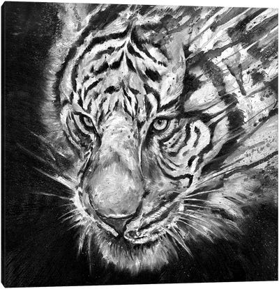 Nightstalker in Black & White Canvas Art Print - Tiger Art