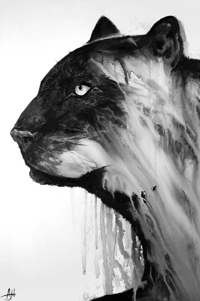 Orpheus in Black & White by Marc Allante multi panel art