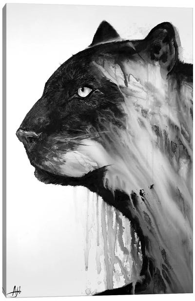 Orpheus in Black & White Canvas Art Print - Marc Allante