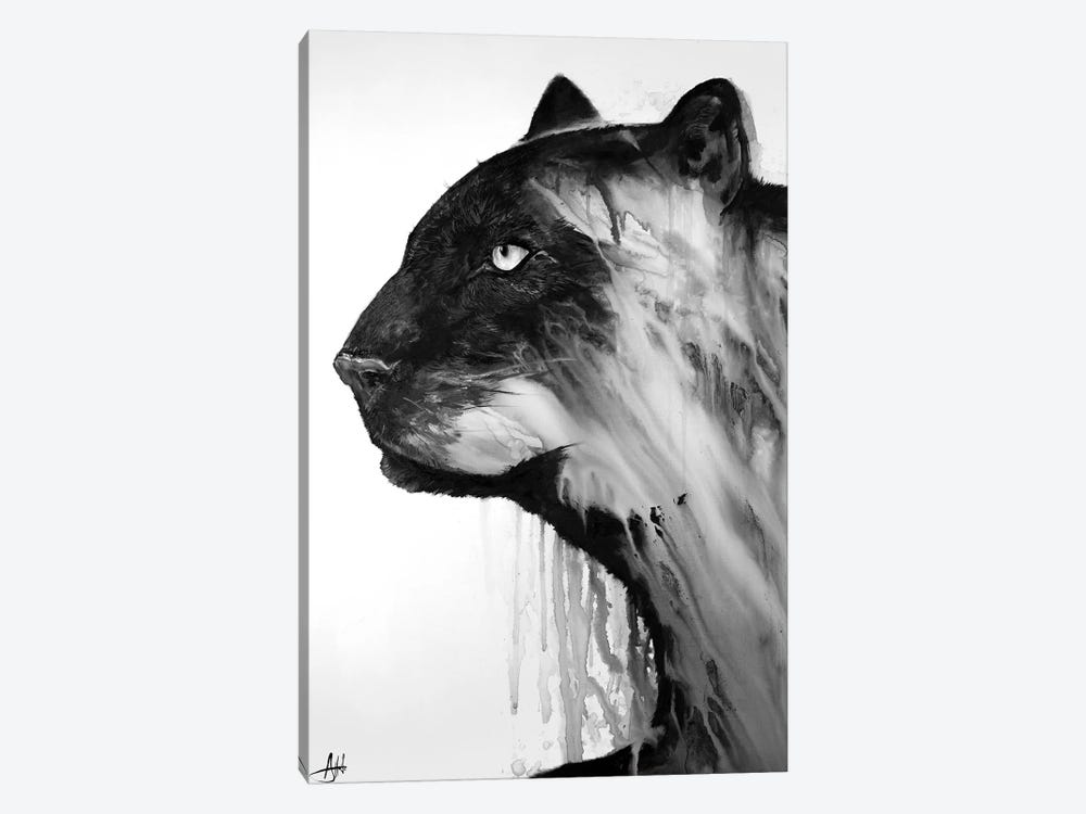 Orpheus in Black & White by Marc Allante 1-piece Canvas Wall Art