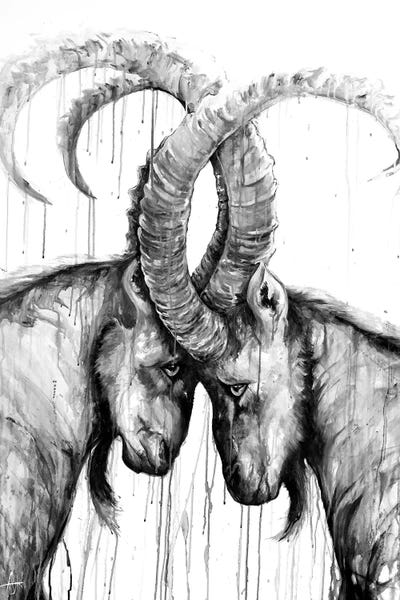 Goats: Sisyphus in Black & White by Marc Allante