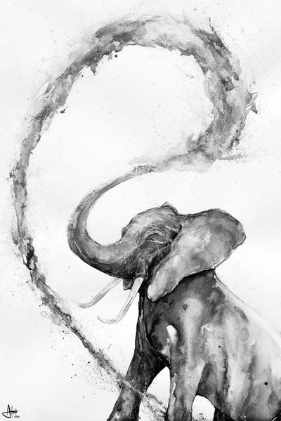 Elephants: Veris in Black & White by Marc Allante