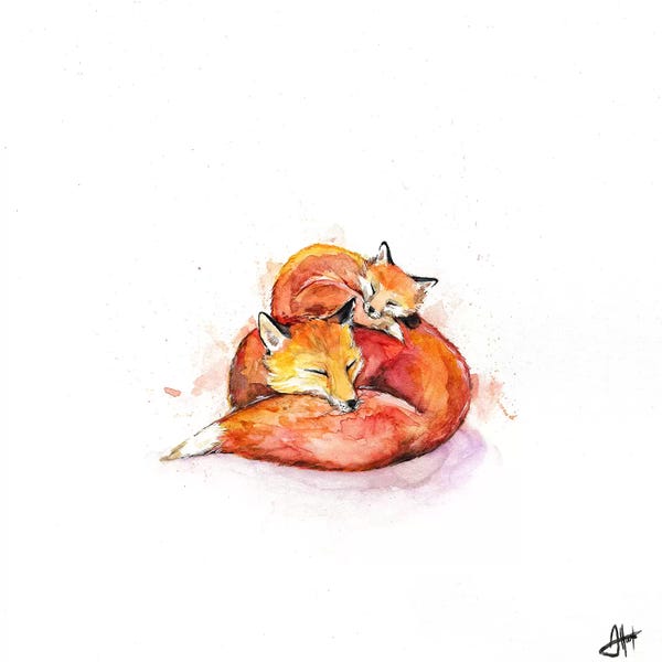 Sleeping & Napping: Foucault's Foxes by Marc Allante