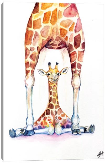 Gorgeous Giraffes Canvas Art Print - Marc Allante