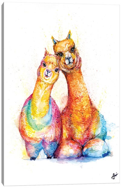 Packa' Alpaca Canvas Art Print - Llama & Alpaca Art
