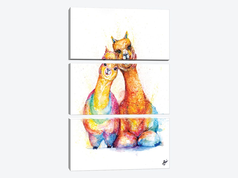 Packa' Alpaca by Marc Allante 3-piece Canvas Print