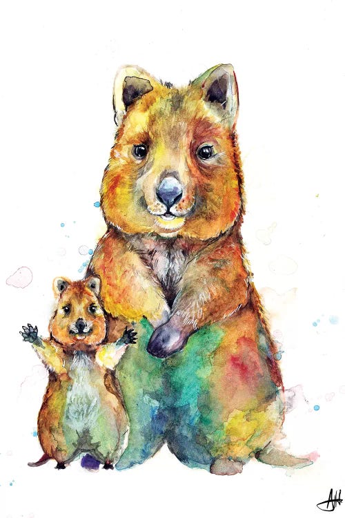 Qwazy Quokkas