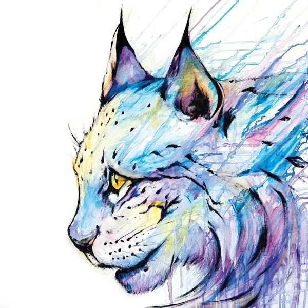 Lynx: Apollo by Marc Allante