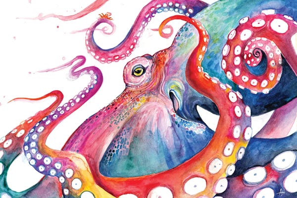 Octopi: Augustus by Marc Allante