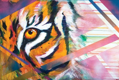 Fragmentation by Marc Allante canvas print