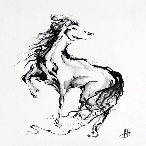 Black & White Animal Art: Pride by Marc Allante