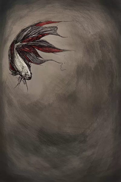 Betta: Samsara by Marc Allante