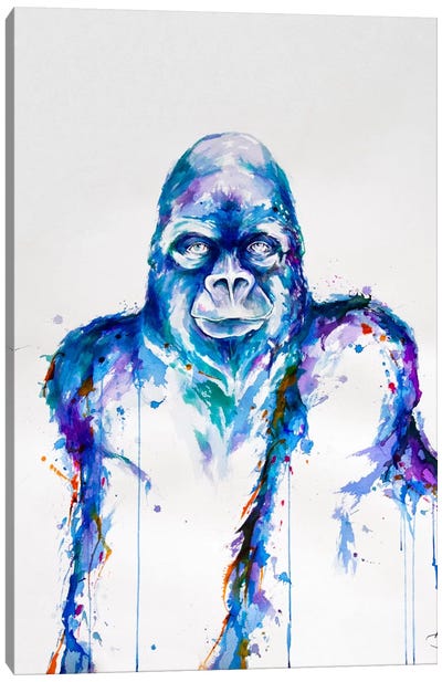 OId Soul Canvas Art Print - Gorilla Art