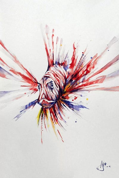 Pterois by Marc Allante canvas print
