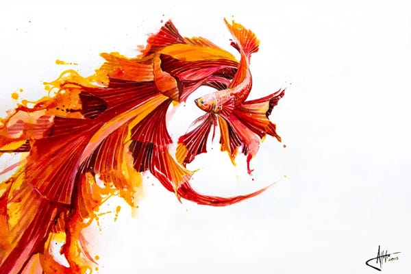 Goldfish: Ignite by Marc Allante