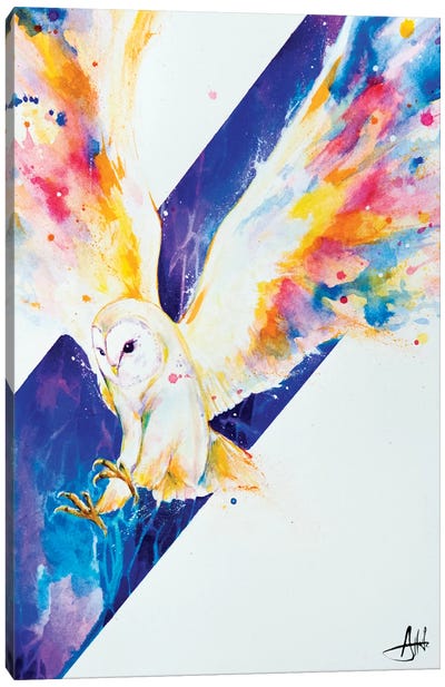 Hector Canvas Art Print - Owl Art
