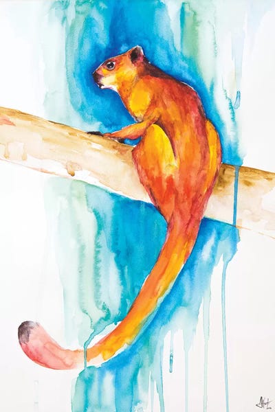 Giant Red Flying Squirrel by Marc Allante metal wall art