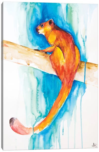 Giant Red Flying Squirrel Canvas Art Print - Watercolor Art