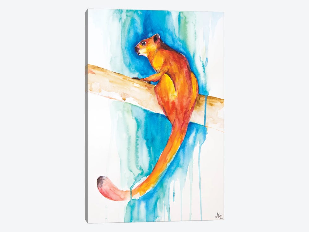 Giant Red Flying Squirrel by Marc Allante 1-piece Art Print
