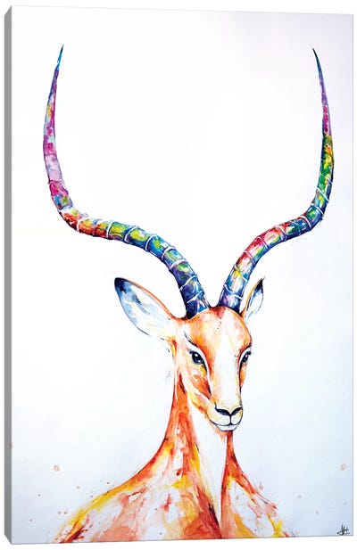 Citadel Canvas Art Print - Antelope Art