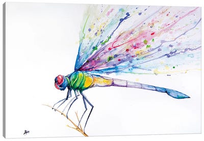 Dragonfly Canvas Art Print - Marc Allante