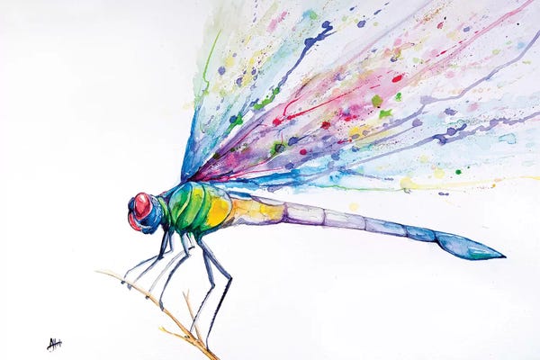 Dragonflies: Dragonfly by Marc Allante