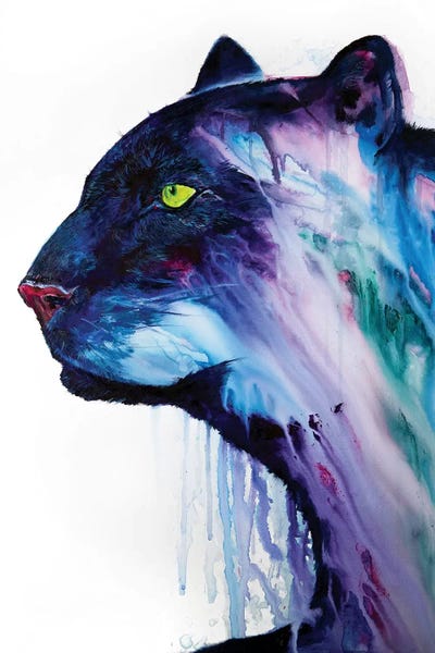 Orpheus by Marc Allante canvas print