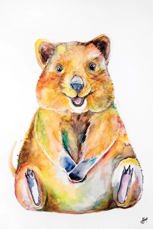 Quokka by Marc Allante wall art