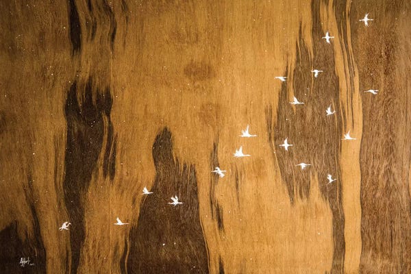 Marc Allante: Snow Falling On Cedars by Marc Allante