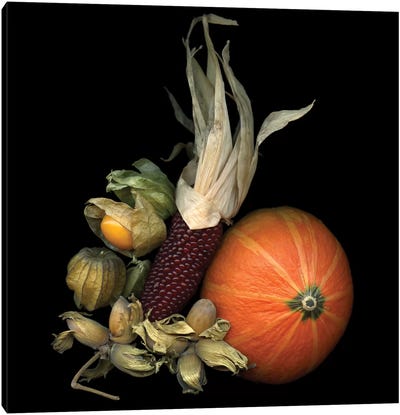 Autumn Charms Canvas Art Print - Vegetable Art