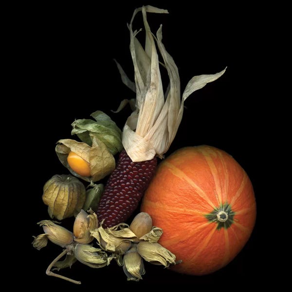 Still Life Photography: Autumn Charms by Magda Indigo