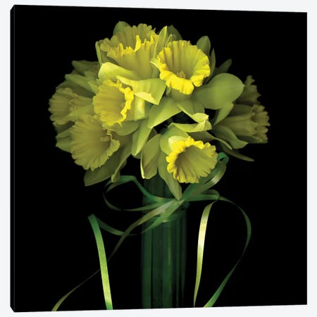 Yellow Daffodil And Ribbon I Canvas Print #MAG225} by Magda Indigo Canvas Print