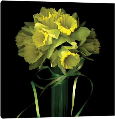 Yellow Daffodil And Ribbon I Canvas Art Print - Daffodil Art