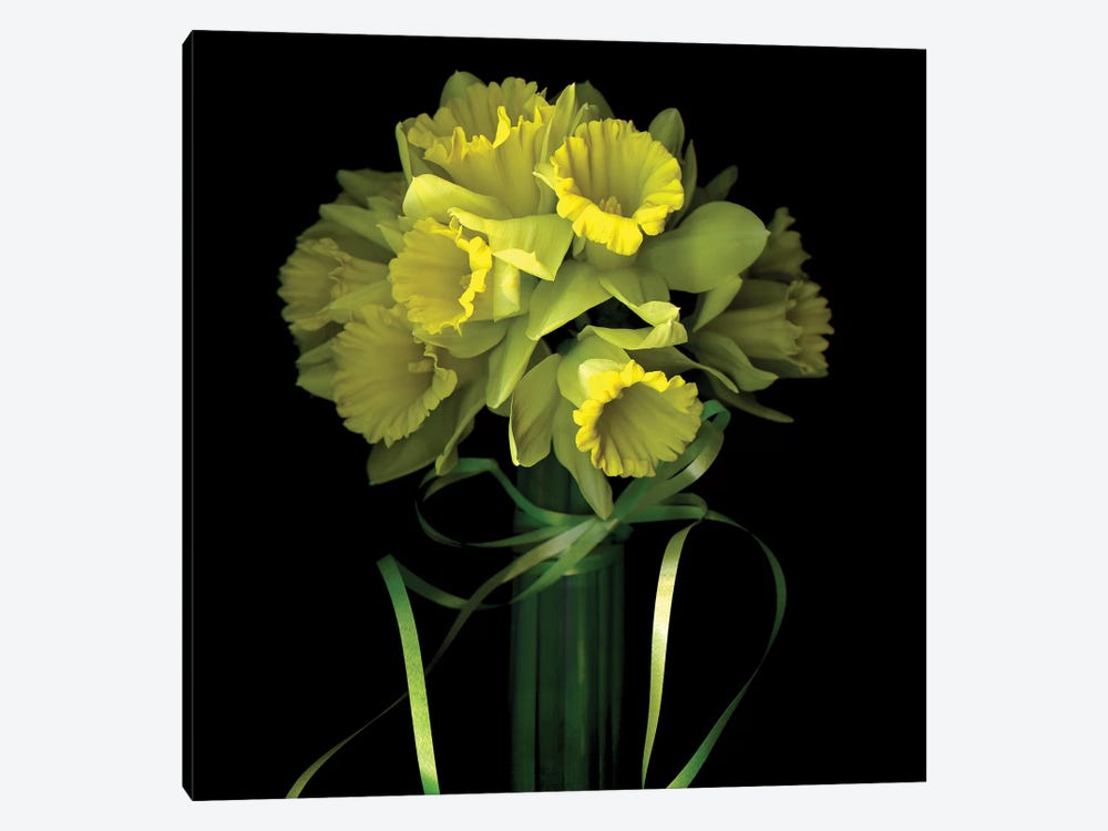 Yellow Daffodil And Ribbon I by Magda Indigo 1-piece Canvas Artwork