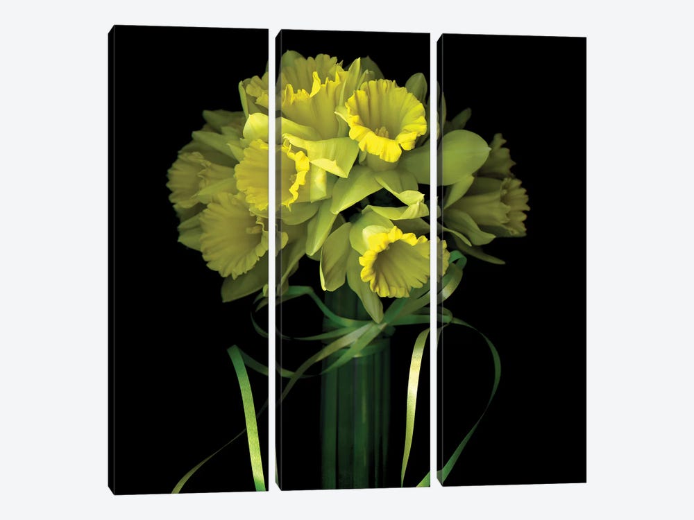 Yellow Daffodil And Ribbon I by Magda Indigo 3-piece Canvas Wall Art