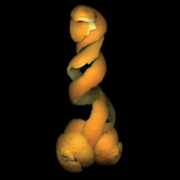 Pop Art Kitchen: Orange Peel VIII by Magda Indigo