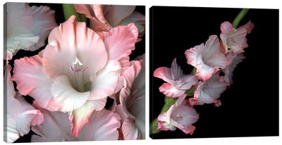 Time I Give To You Diptych Canvas Art Print - Macro Photography