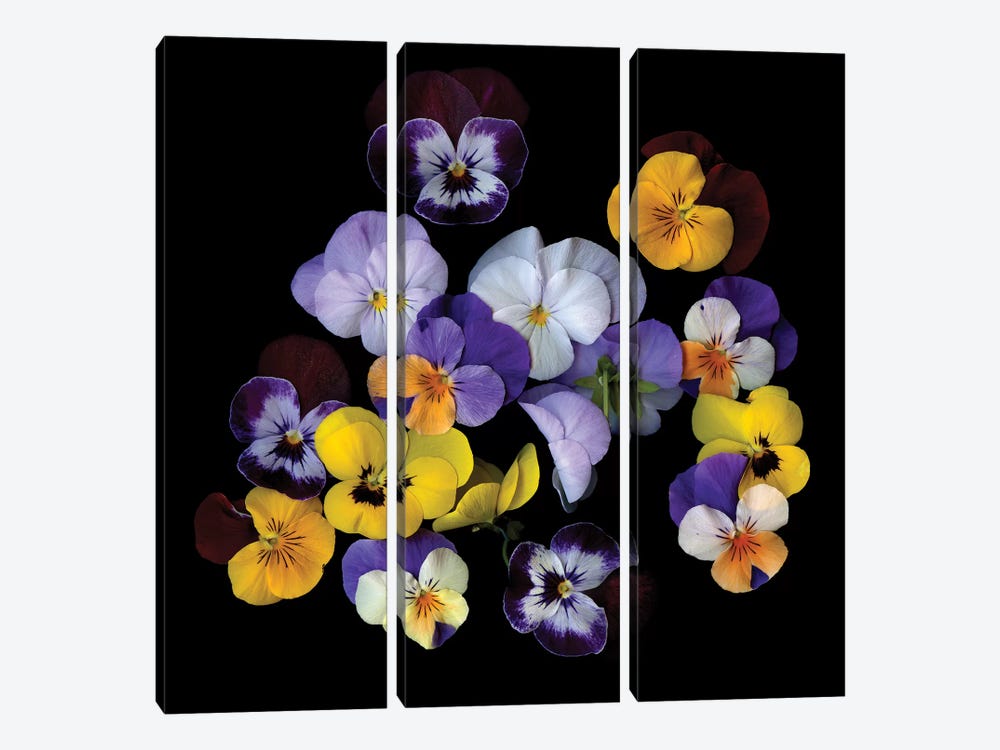Spring Violet XXIV by Magda Indigo 3-piece Canvas Art Print