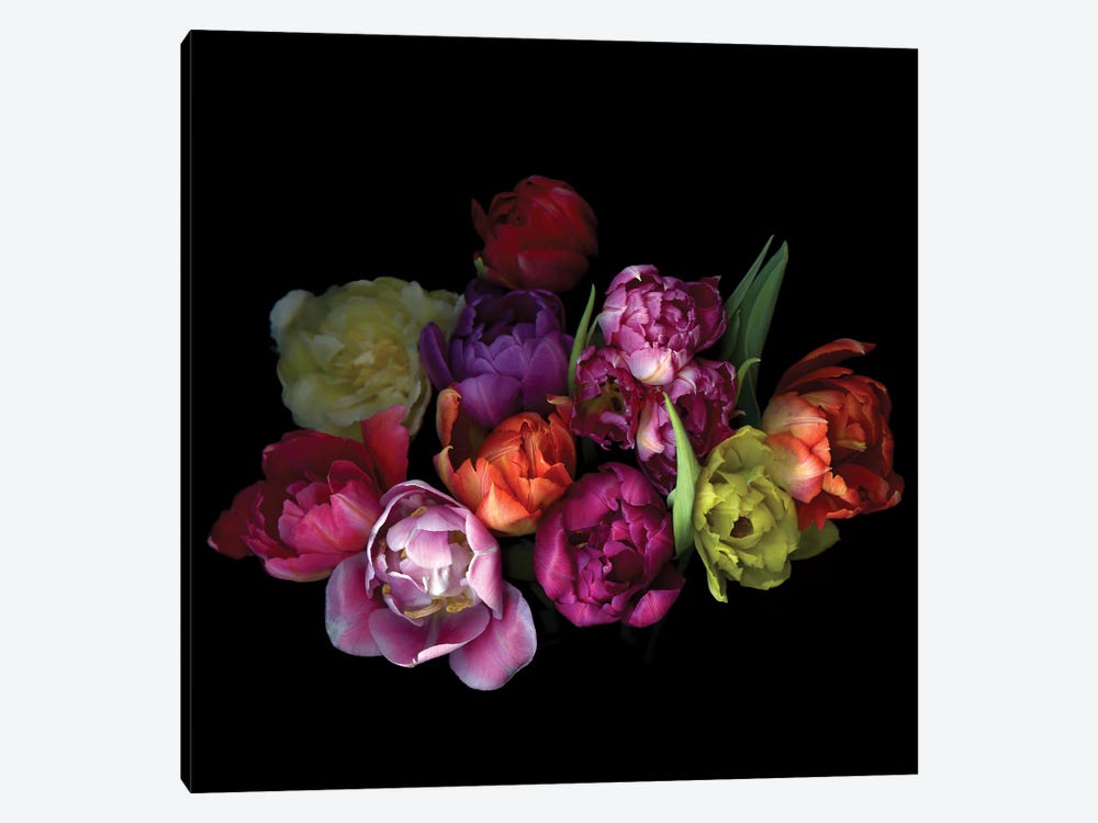 Tulips Mix XI by Magda Indigo 1-piece Canvas Art Print